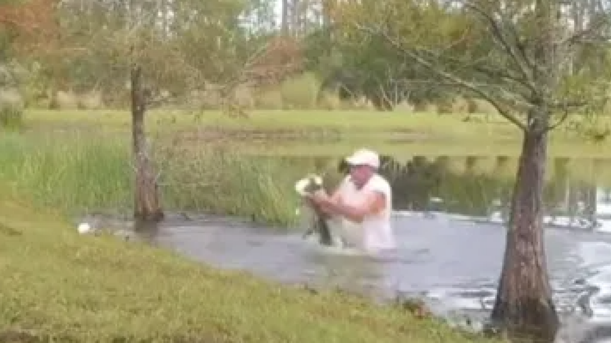 Viral Hombre Arriesga Su Vida Para Salvar A Un Cachorro De Ser