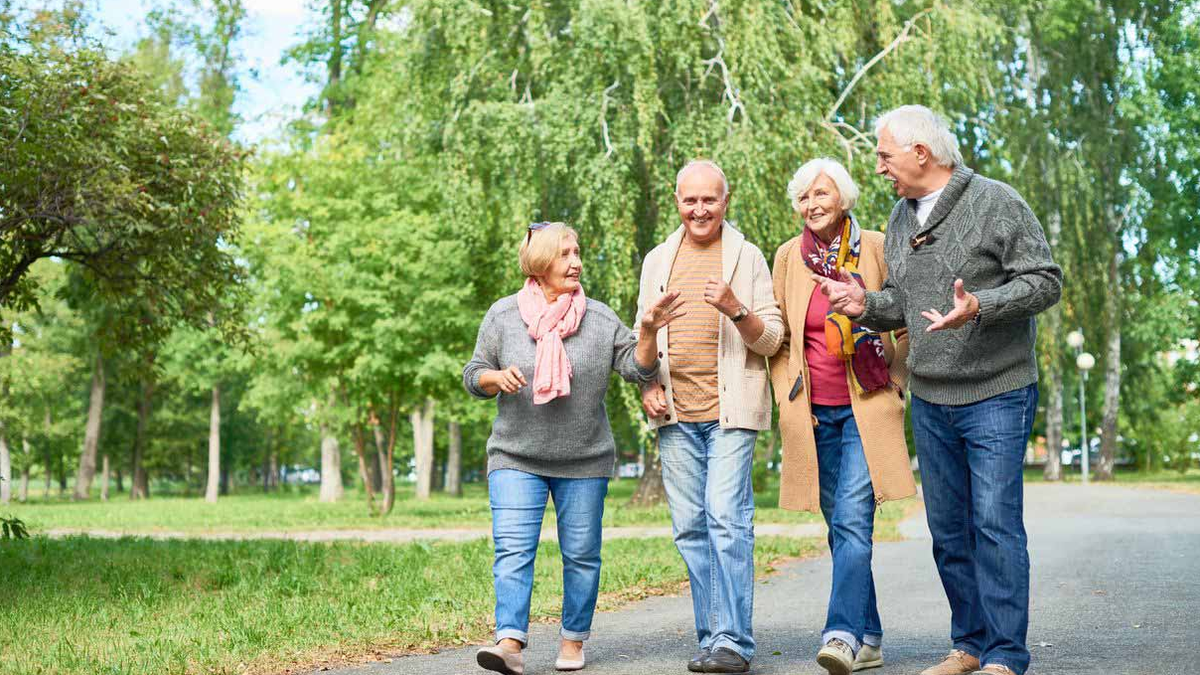 Actividades Al Aire Libre Para Adultos Mayores