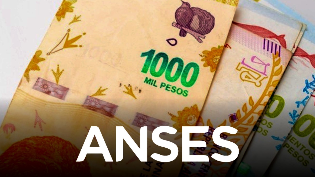 Refuerzo De De Anses C Mo Se Tramita Qui Nes Cobran Y Cu Ndo