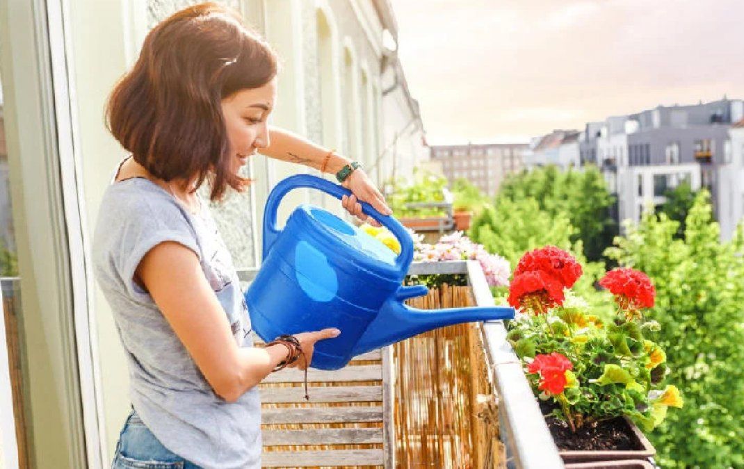 Pasos Para Revivir Una Planta Ahogada