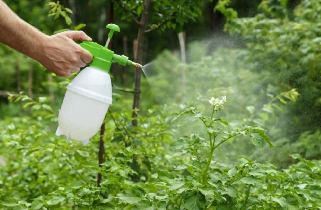 Agricultura ecológica qué alternativas existen al uso de fertilizantes