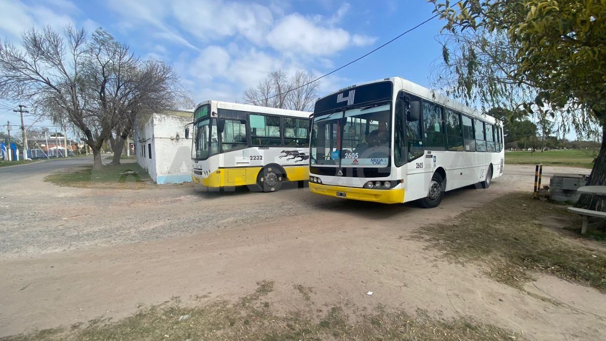 Paro de colectivos en Santa Fe qué líneas circulan y cuáles no este