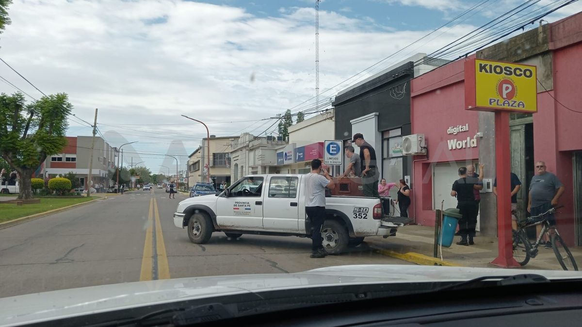 Alerta Atraparon A Un Puma Que Apareci Deambulando En Las Calles De Un