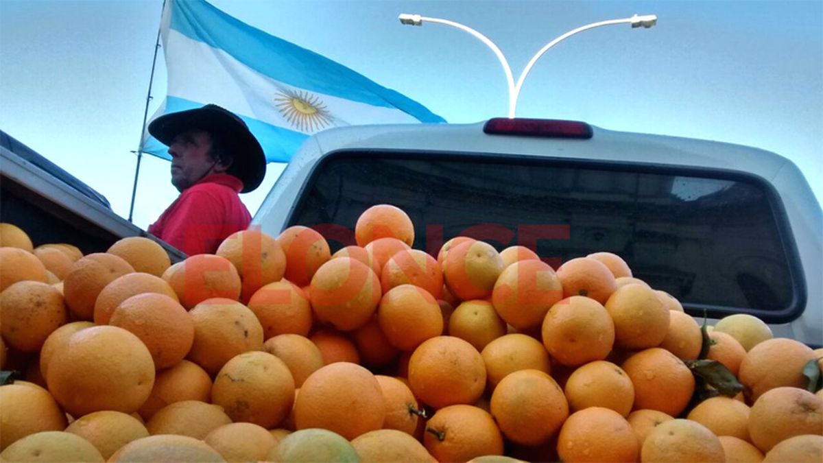 Cinco Provincias Reclaman Ser Declaradas En Emergencia Agropecuaria