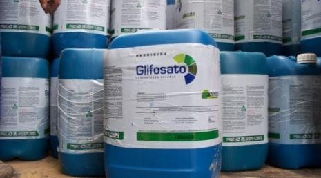 Los herbicidas en base a glifosato son los más utilizados para controlar las malezas que compiten con la soja.