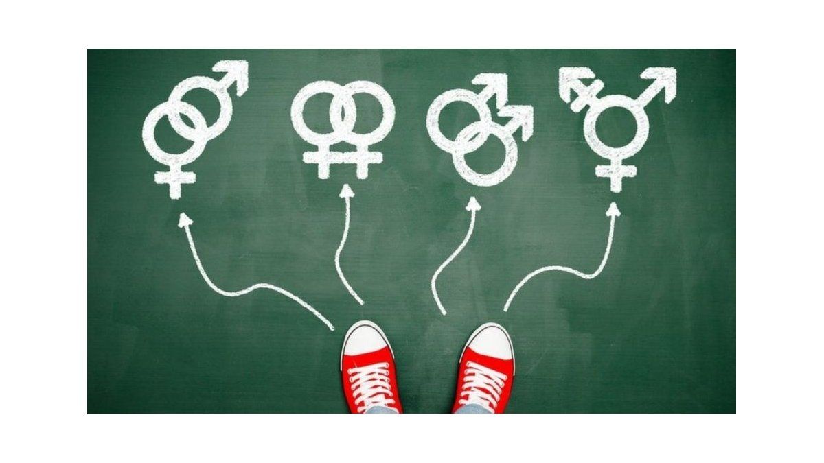 Orientación Sexual E Identidad De Género ¿son Lo Mismo 