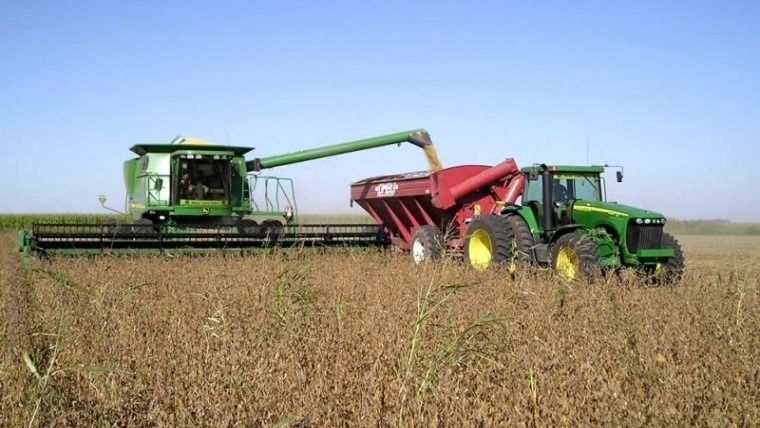 El análisis señaló que “la confianza de los productores se ha recuperado en septiembre, en comparación con el mínimo de la serie observado en junio último” | Agro Digital