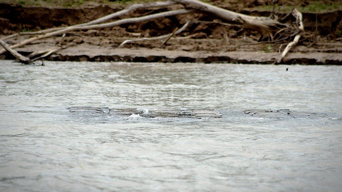 El lugar donde fue hallada la manta tras la bajante del río Paraná.