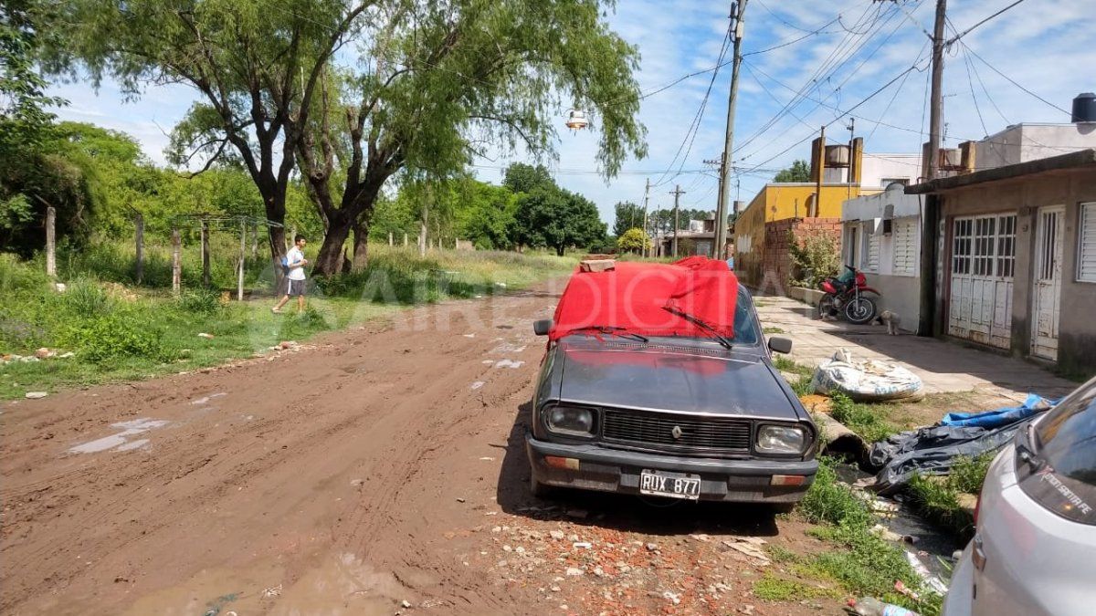 Invasión de avispas Camachui en el barrio de la granja La Esmeralda - Aire de Santa Fe - La Gran Radio