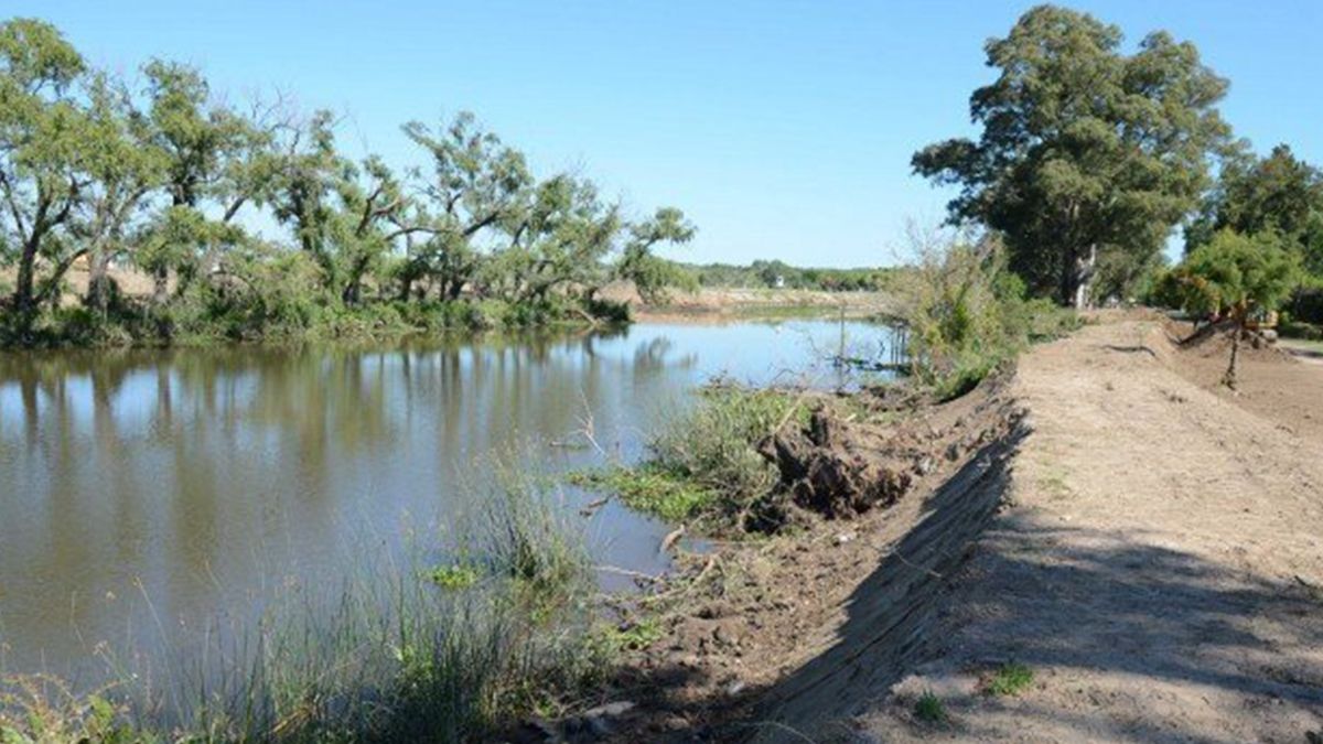 Los productores ganaderos realizan terraplenes y diques en las islas del Delta del Paraná.