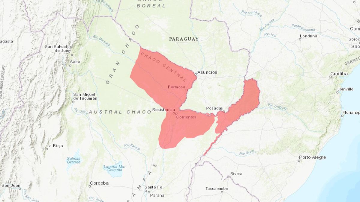 En este mapa se puede observar el hábitat de los monos carayá en la Argentina. También viven en los bosques y selvas Paraguay, Bolivia y parte de Brasil.