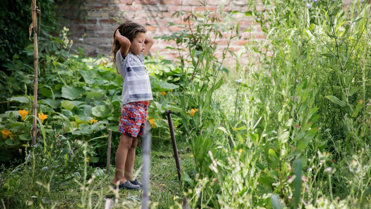 En el cuidado de la huerta participa toda la familia y los chicos crecen aprendiendo a cultivar sus propias verduras.