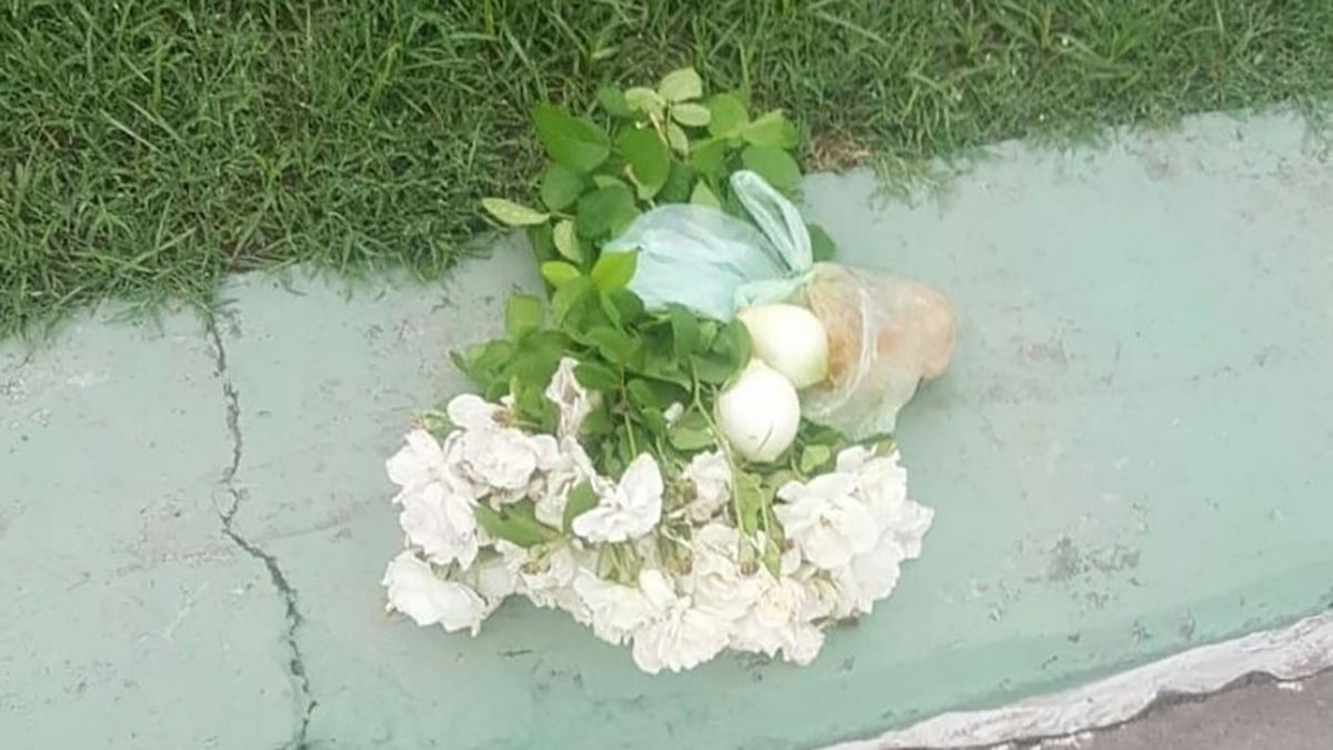 Misteriosas rosas blancas aparecen en una plazoleta de Jujuy. Foto: El Tribuno, Jujuy.