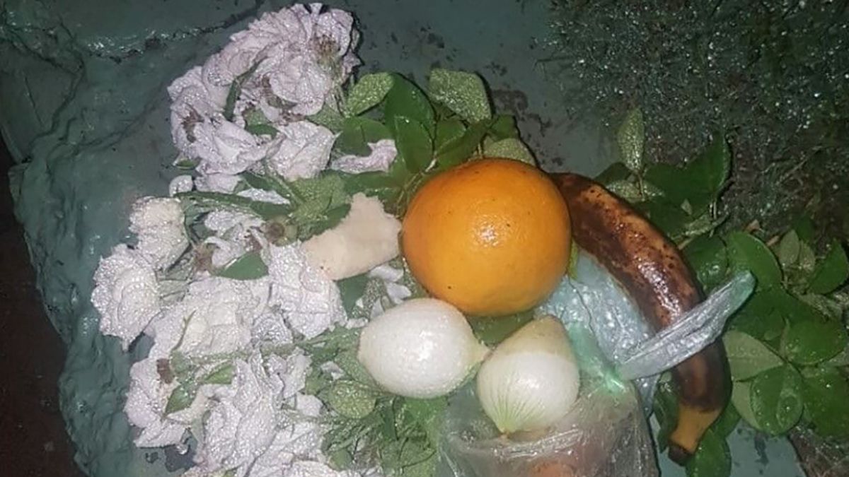 Las rosas blancas suelen aparecer con frutas. Foto: El Tribuno, Jujuy.