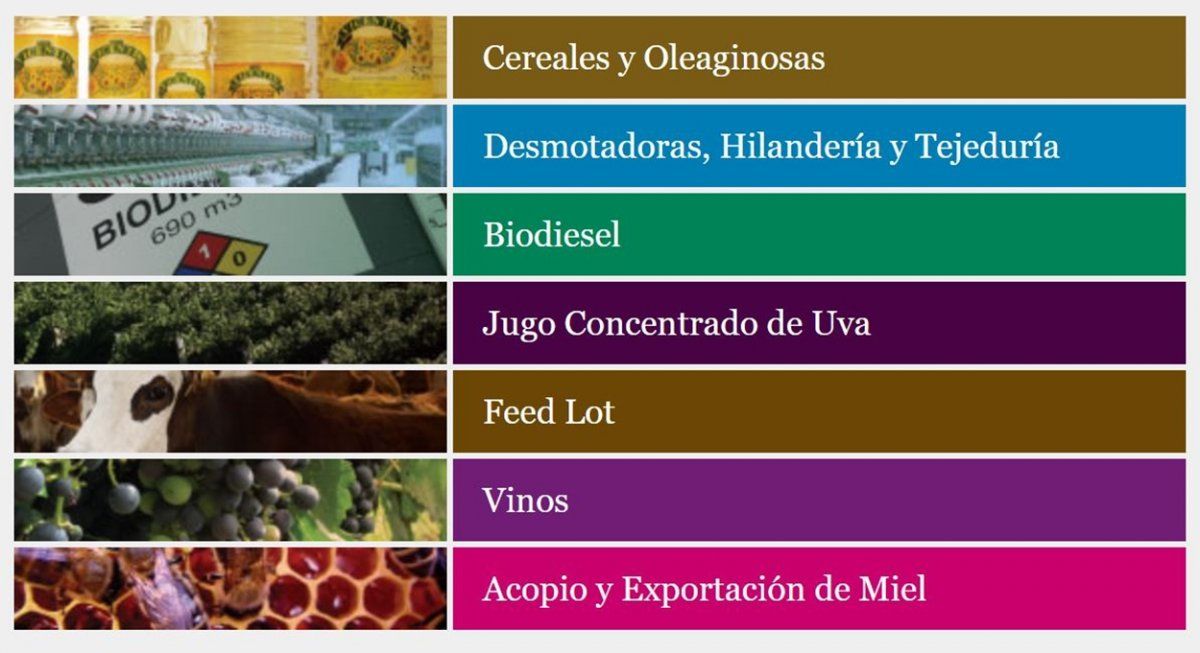 Todos los rubros en los que tiene participación el grupo Vicentín, según el sitio web de la empresa.