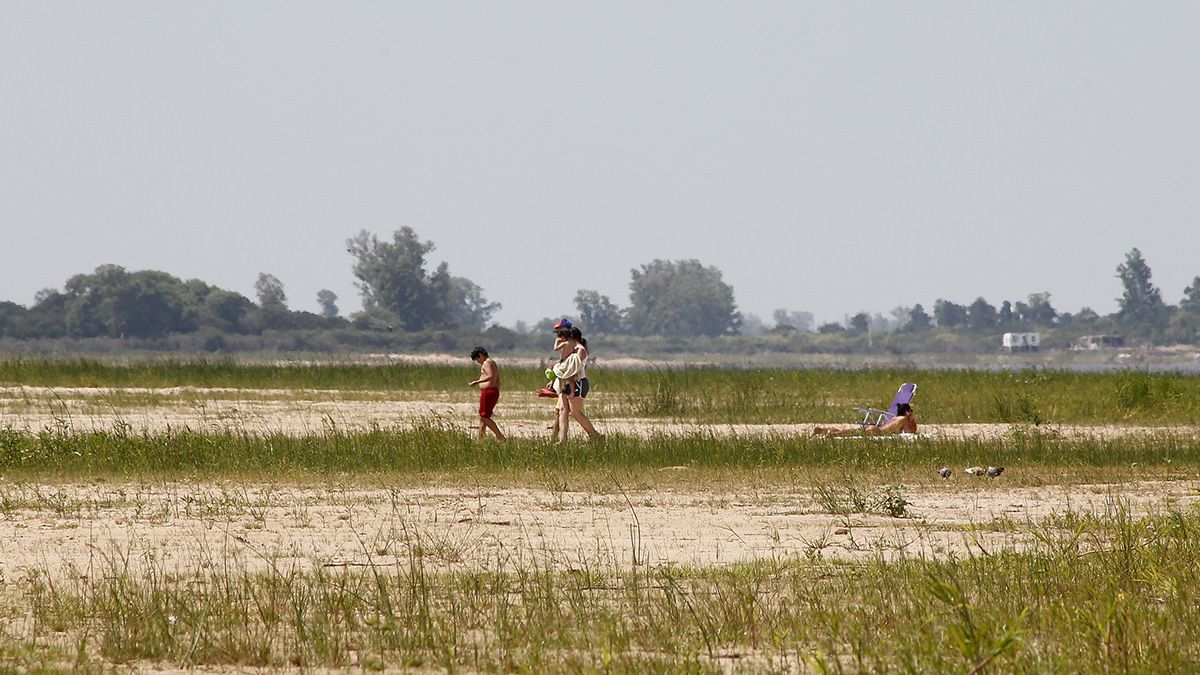 Cómo la laguna está baja desde hace cuatro meses, las malezas crecieron en un sector que suele estar cubierto por el agua.