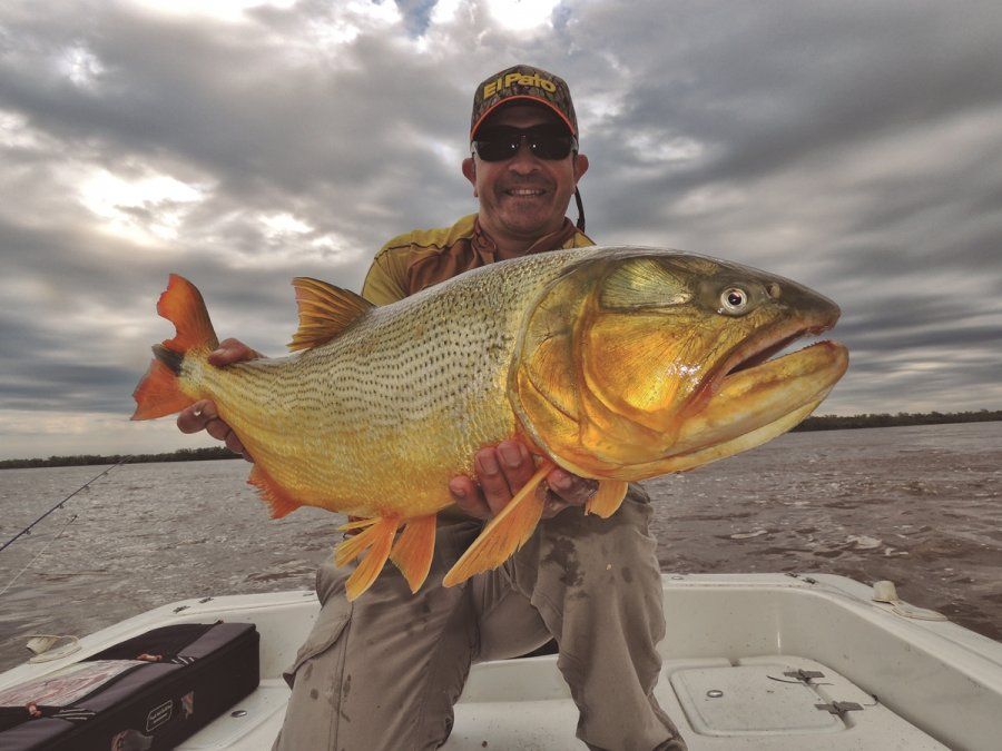 Pesca de dorado: cuáles son los mejores lugares para realizarla