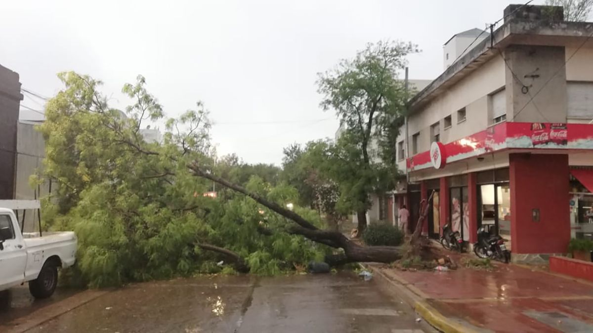Foto: La Nueva Mañana - Córdoba