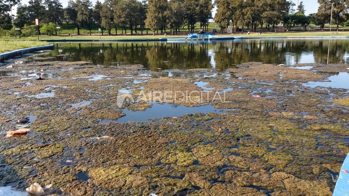 Limpiaron los piletones del Parque Sur.