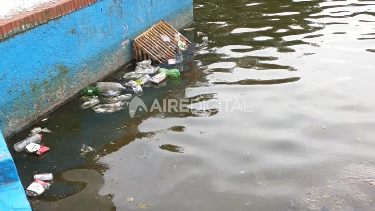Botellas y bolsas, parte de la basura que había en las aguas de los piletones.