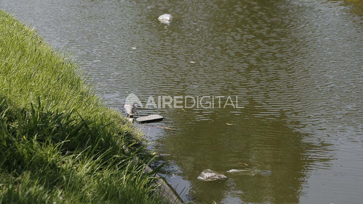 El lago del Parque Garay también presenta basura y contaminación.