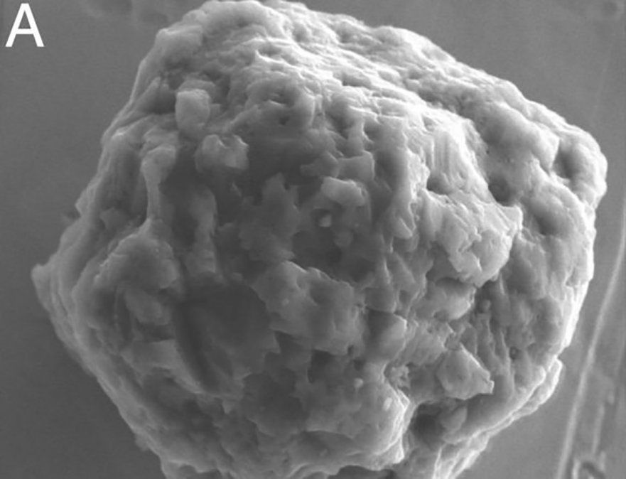 Un equipo de científicos encontró granos de polvo que tienen hasta 7.500 millones de años en el interior de una roca espacial.