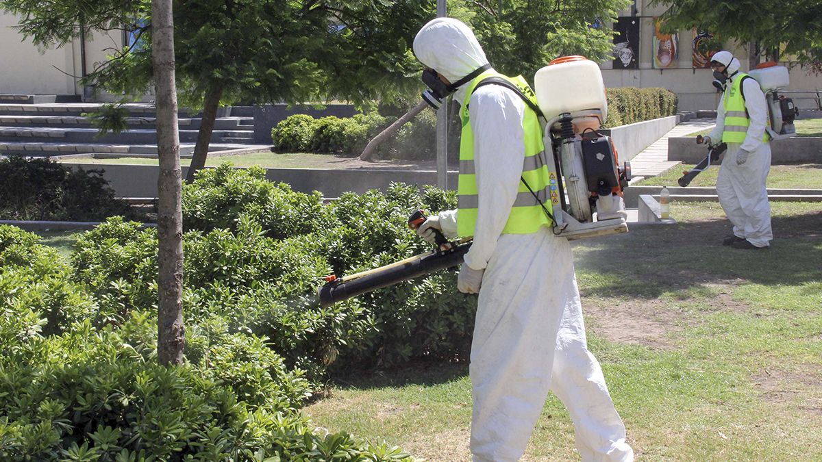 La fumigación y el descacharrado de patios y veredas son las principales herramientas de prevención contra el dengue.