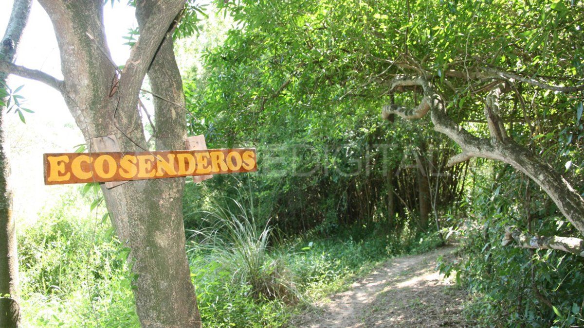 En algunas zonas de Jaaukanigás ya hay senderos y miradores para observar la naturaleza.