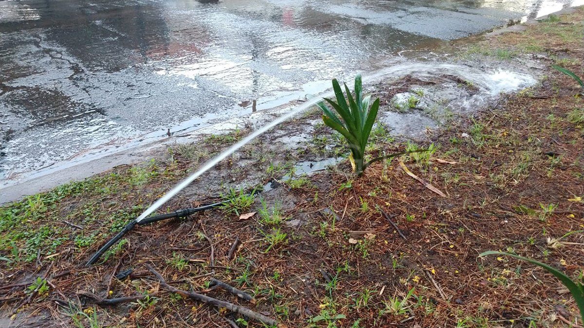 Sistema de riego en Avenida Freyre