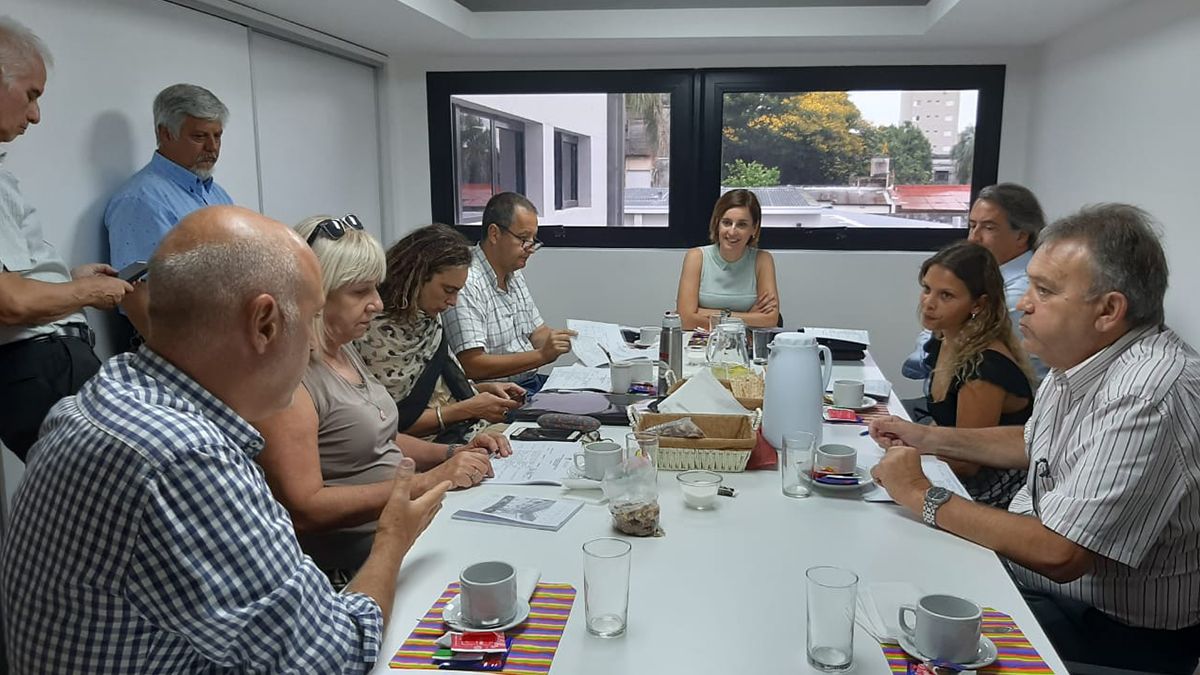 Hynes y Del Frade en la primera reunión en 2020 de la Comisión de Medio Ambiente y Recursos Naturales de la Cámara de Diputados de la provincia, realizada el 5 de febrero.