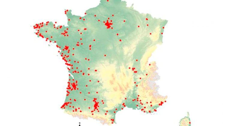 La especie está presente en 72 de los 96 departamentos de la Francia metropolitana