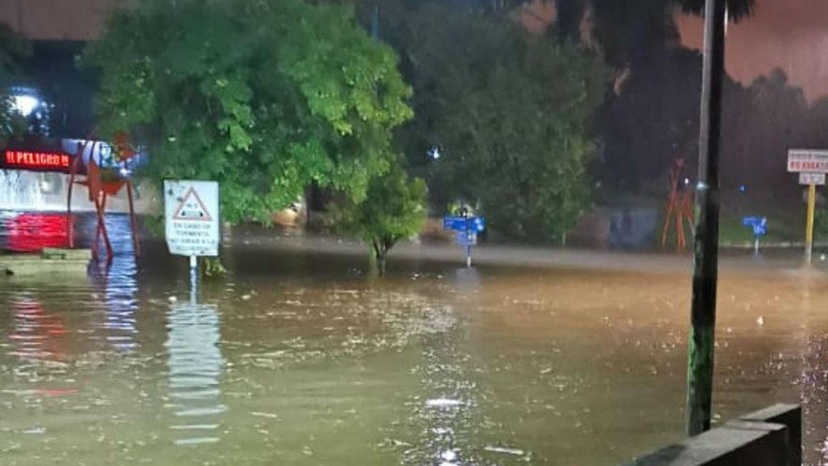 Las señaléticas quedaron casi ahogadas por la cantidad de agua acumulada.