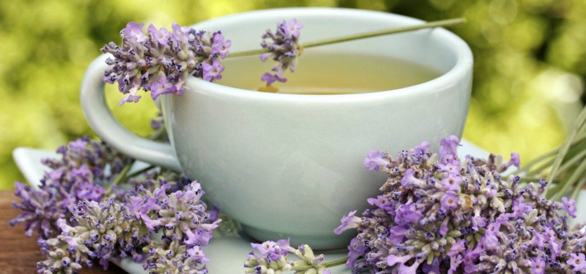 Té de lavanda