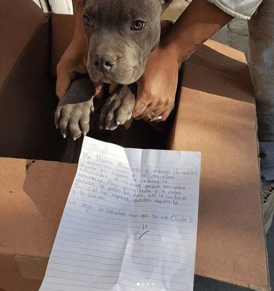 El perrito junto a la nota del menor