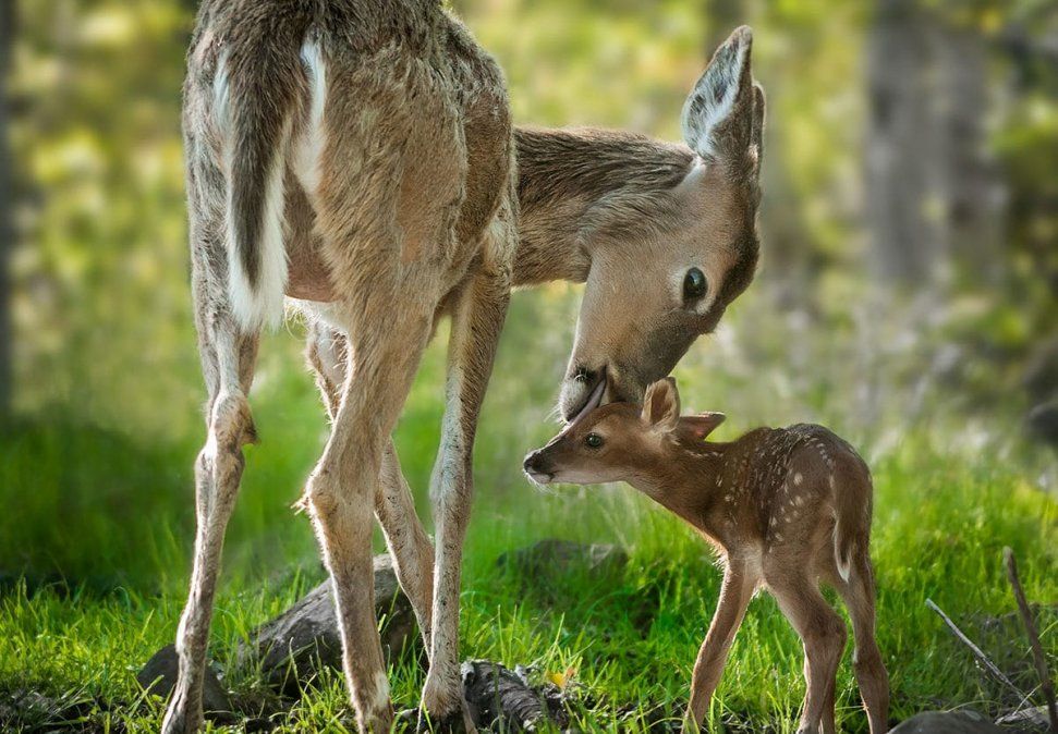 Se conmemora desde 2013