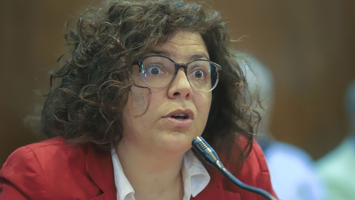La secretaria de Acceso a la salud de la Nación, Carla Vizzotti, durante la conferencia de prensa.