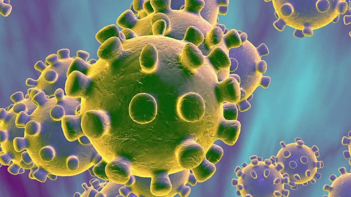 La bacteria del coronavirus.