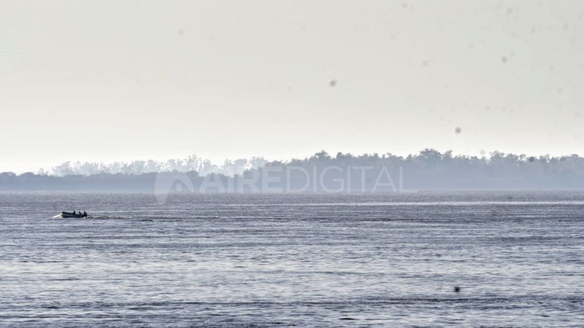 Las Islas ubicadas entre Rosario y Victoria fueron declaradas “zona crítica de protección especial” y se decretó la suspensión total de la quema por un período de 180 días.