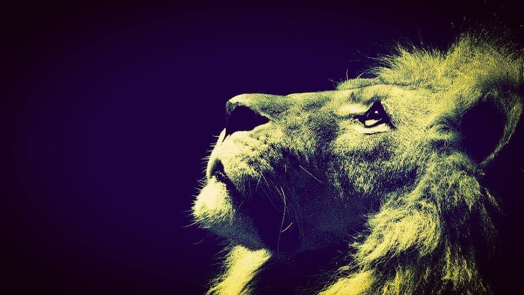 La Luna en Leo traerá libertad y cambio emocionales a la vida de tres signos del zodiaco