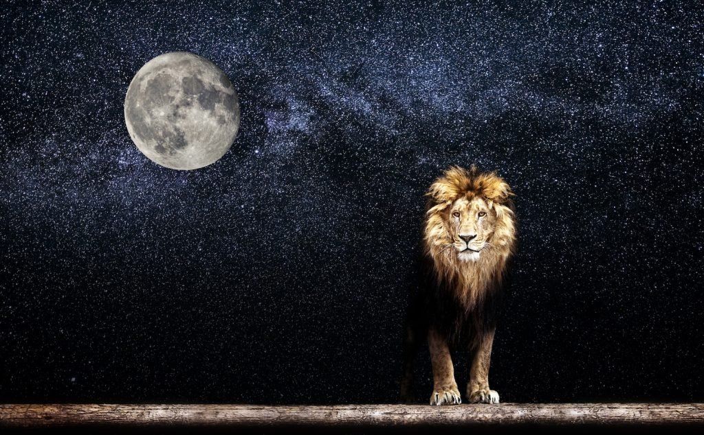 La Luna en Leo traerá libertad y cambio emocionales a la vida de tres signos del zodiaco