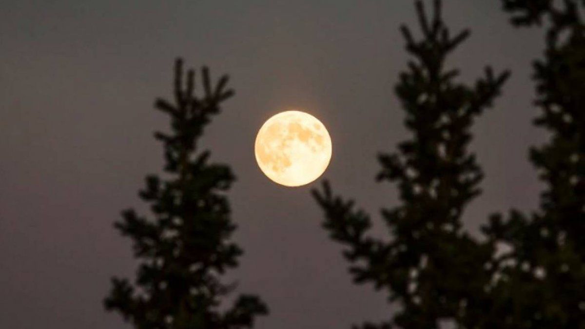 Horóscopo: se termina Mercurio retrógrado, pero todavía hay que tener cuidado durante la Luna llena de Virgo