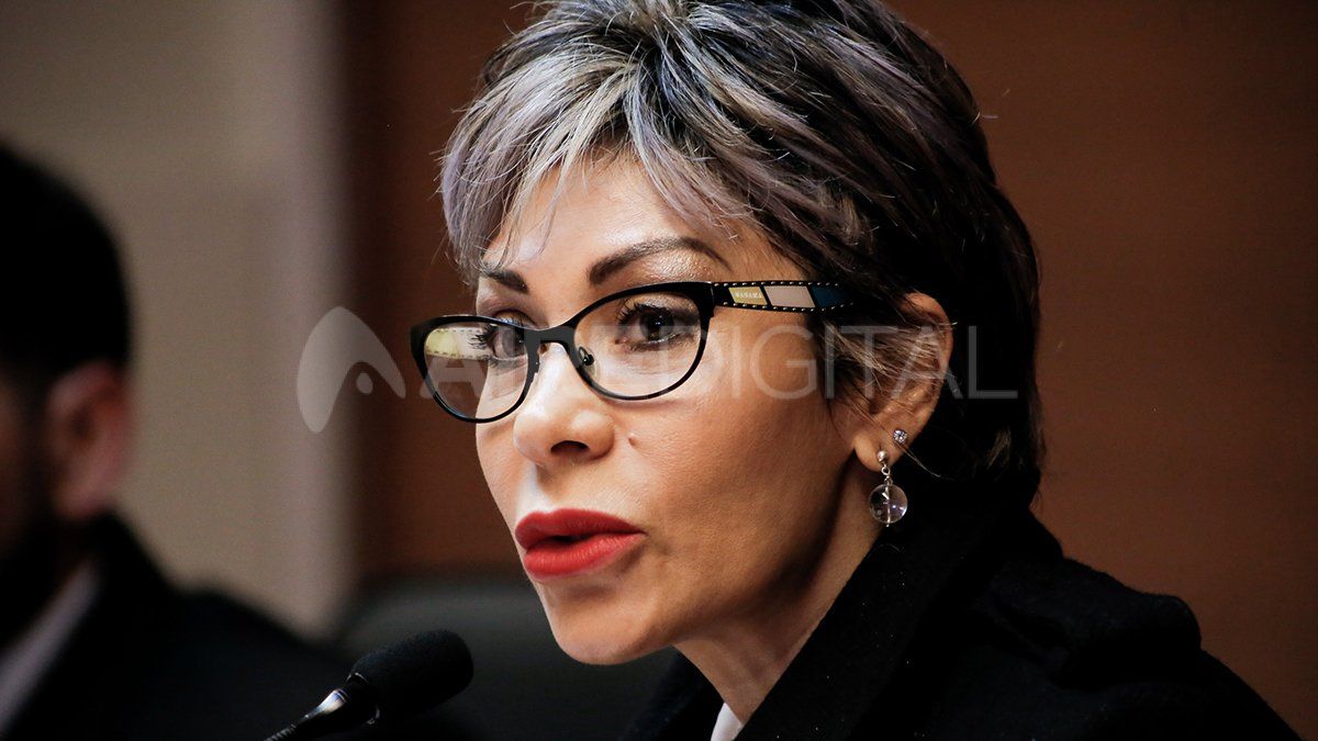 Para los defensores, el decreto de la jueza Luna que dispuso la realización de la audiencia preliminar es