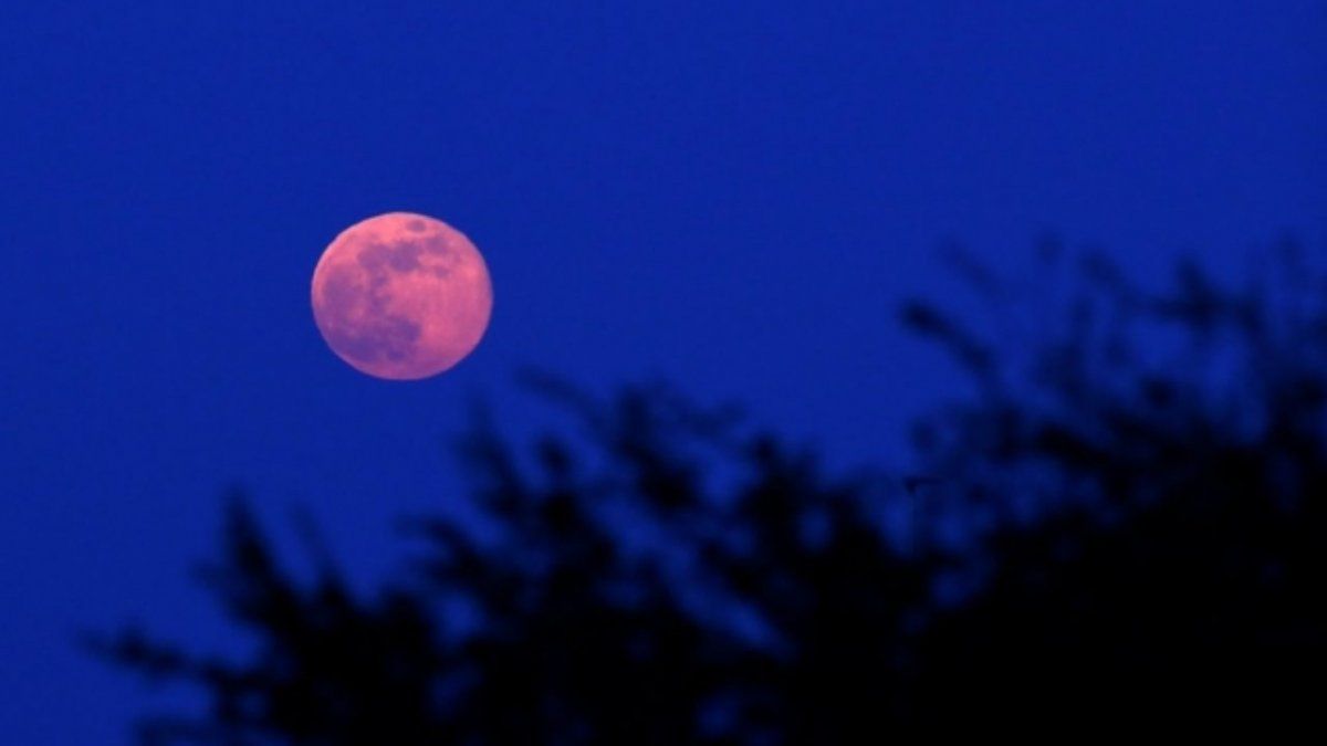 Superluna rosa, la más grande de 2020 que llegará en abril y afectará a algunos signos del zodiaco