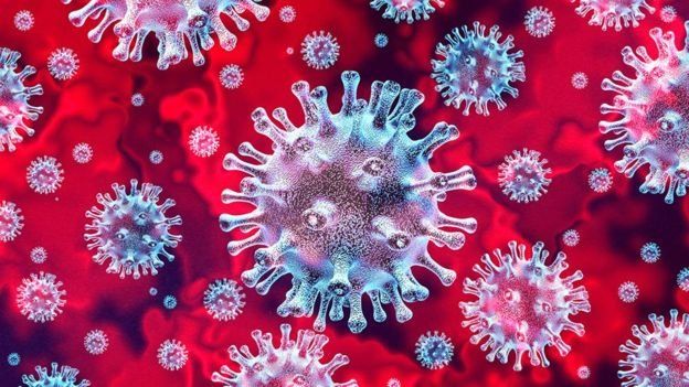 La principal misión del virus, una vez que entra al organismo, es crear copias de sí mismo