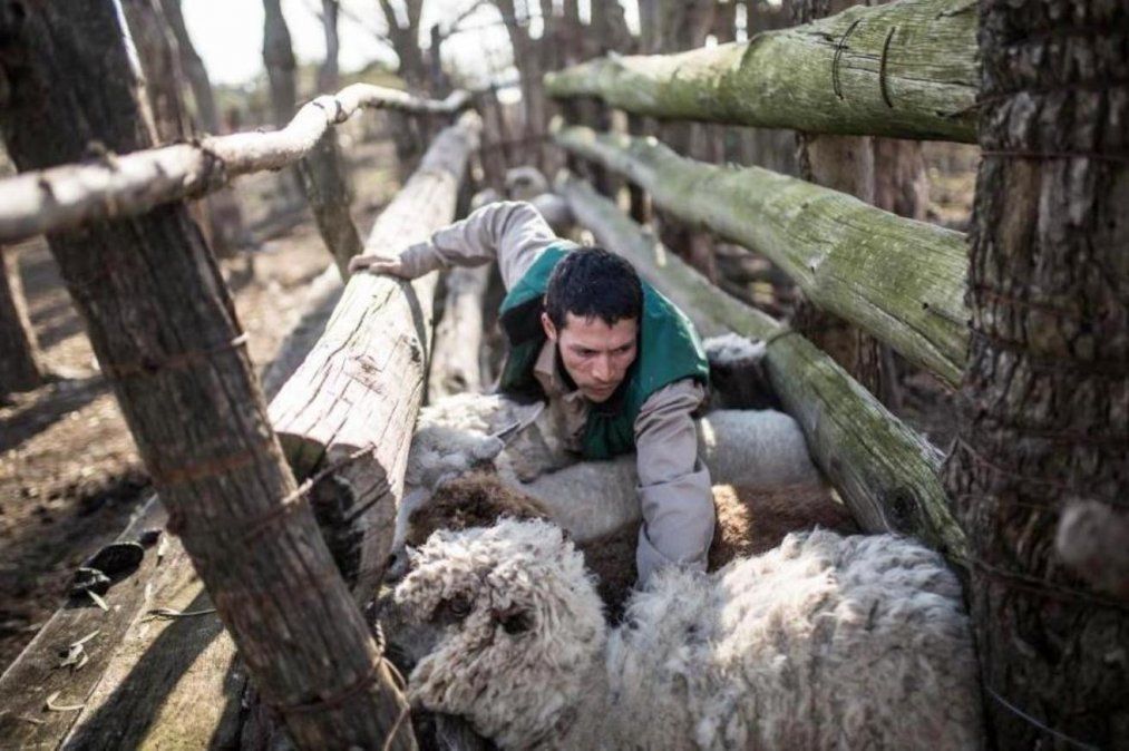 Captura de la película "La creciente"