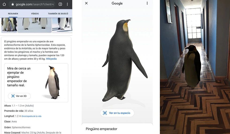 Así puedes ver animales 3D desde el buscador de Google