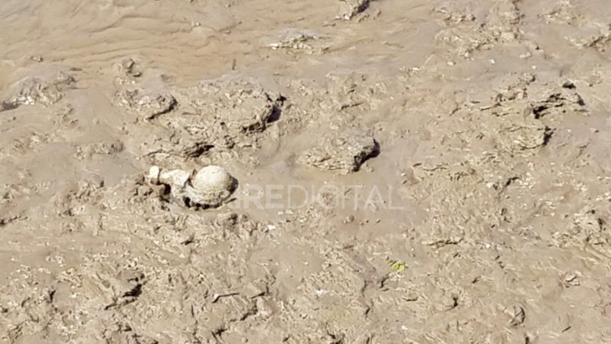 La granada apareció en el barro del lecho del río, tras la disminución por la bajante