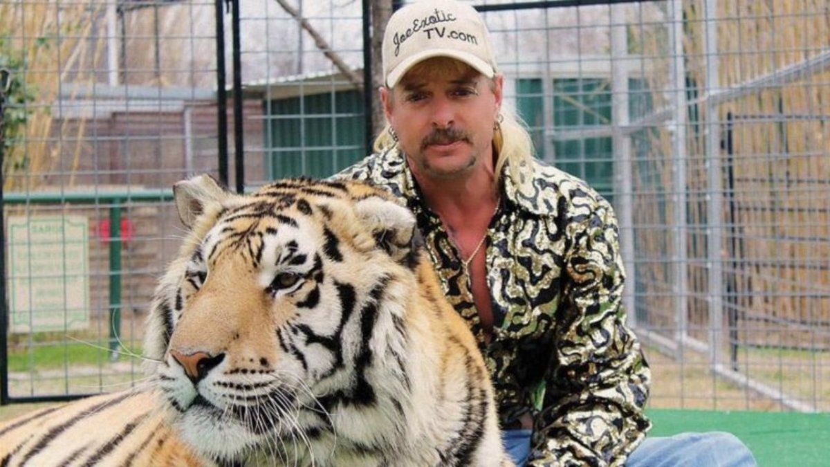 Rey Tigre