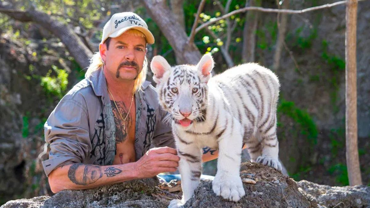 Rey Tigre