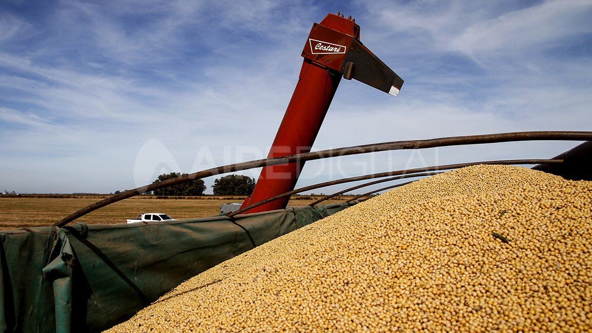 El índice toma en cuenta los precios de los productos básicos agropecuarios, como maíz, trigo, entre otros.
